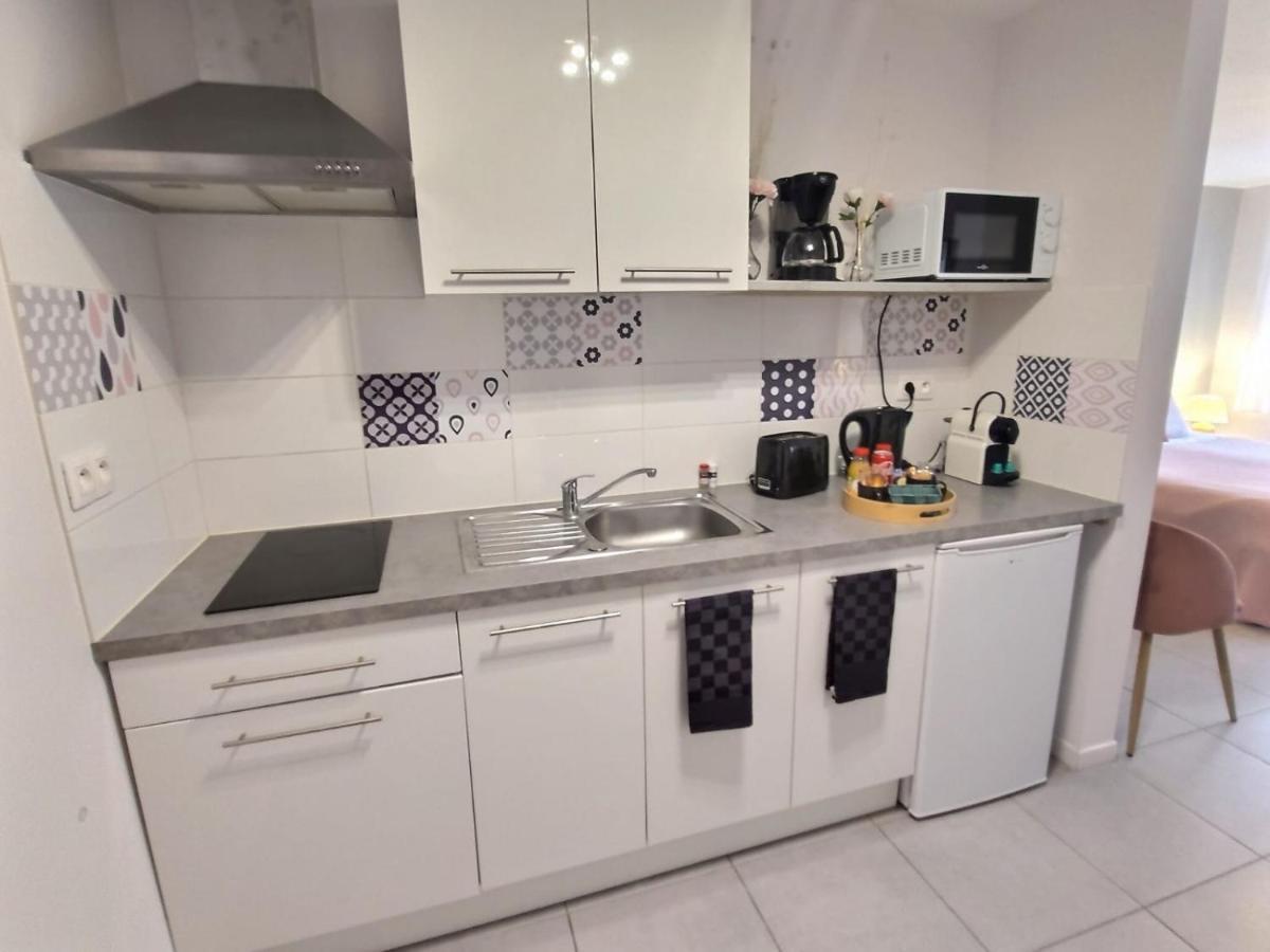 L'Amazonie - Roissy Cdg - Parc Asterix - Paris Διαμέρισμα Moussy-le-Neuf Εξωτερικό φωτογραφία